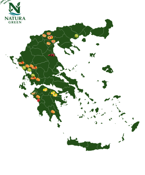 Αρχική